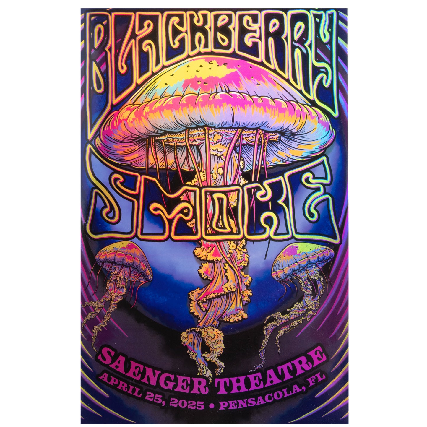 2025 Pensacola Show Poster D24