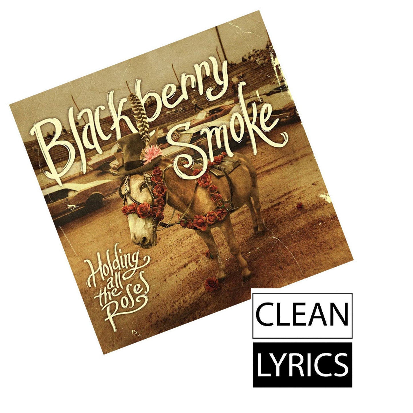 HOLDING ALL THE ROSES CD (Clean Version)