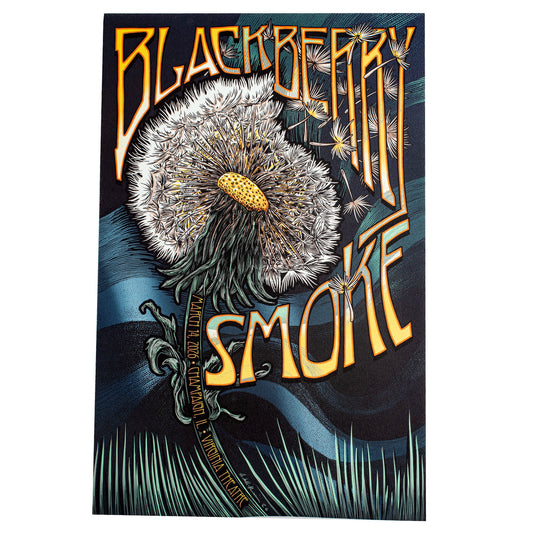 2026 Champaign IL Poster D-B