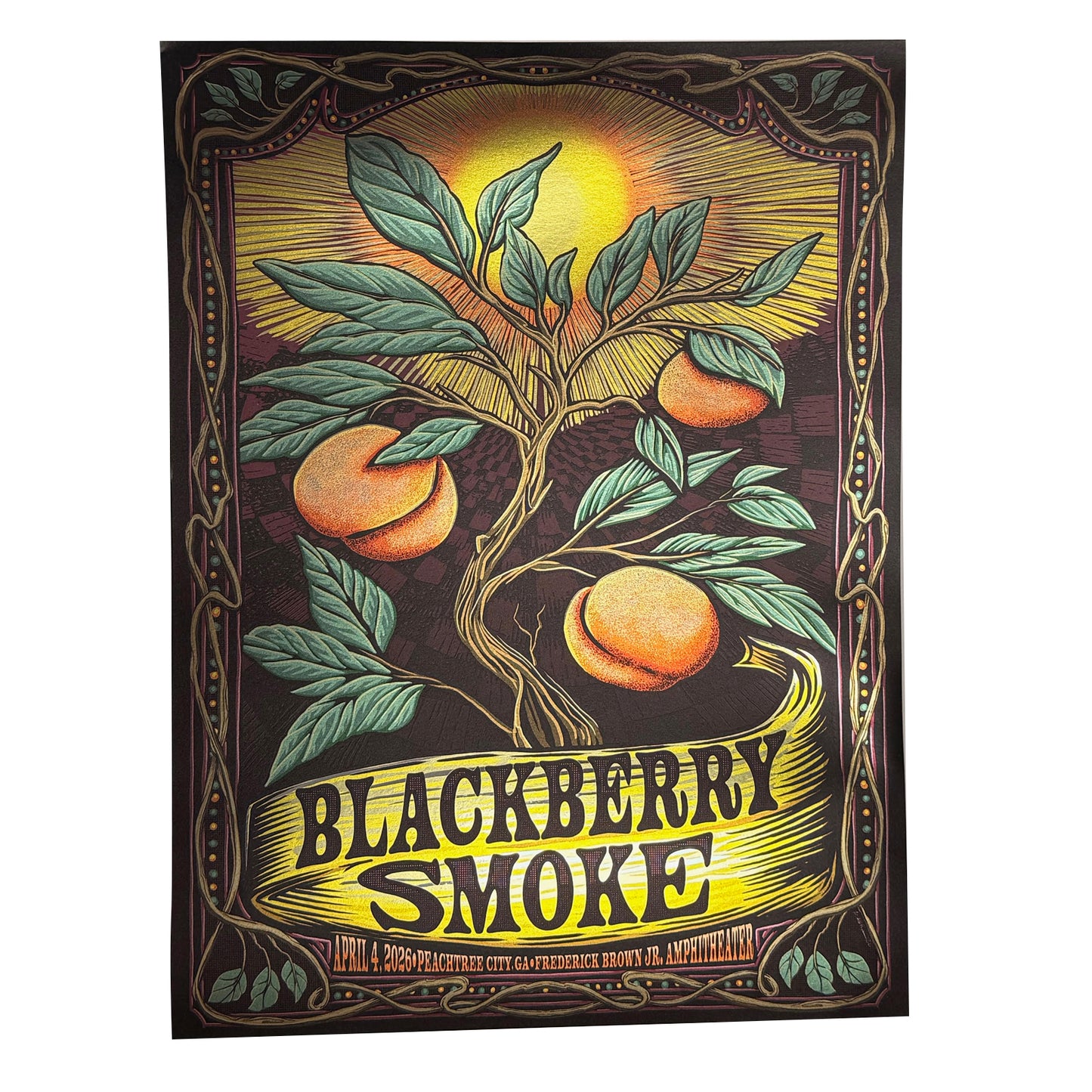 2026 Peachtree City Show Poster D8