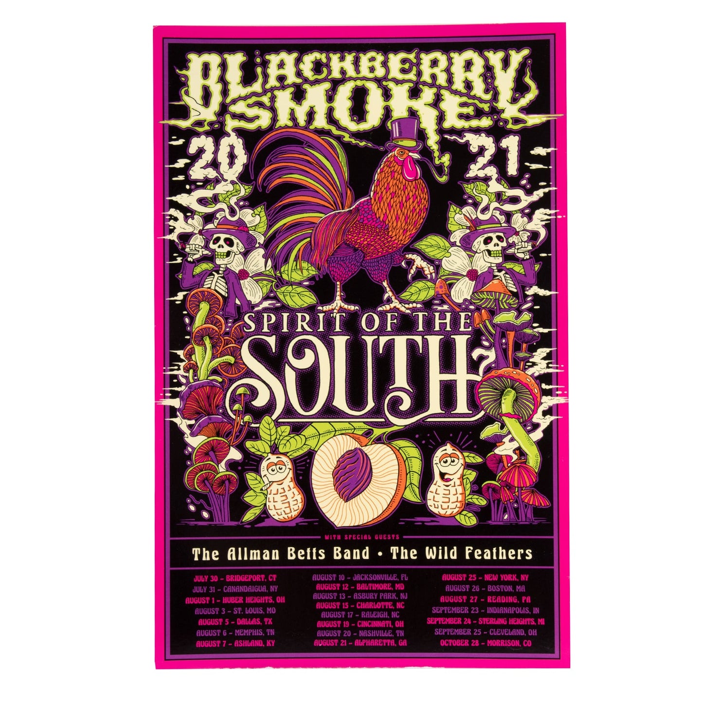 Spirit of the South Tour Poster Black Version - D23