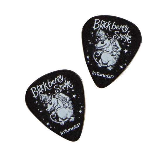 2 Opossum Guitar Picks